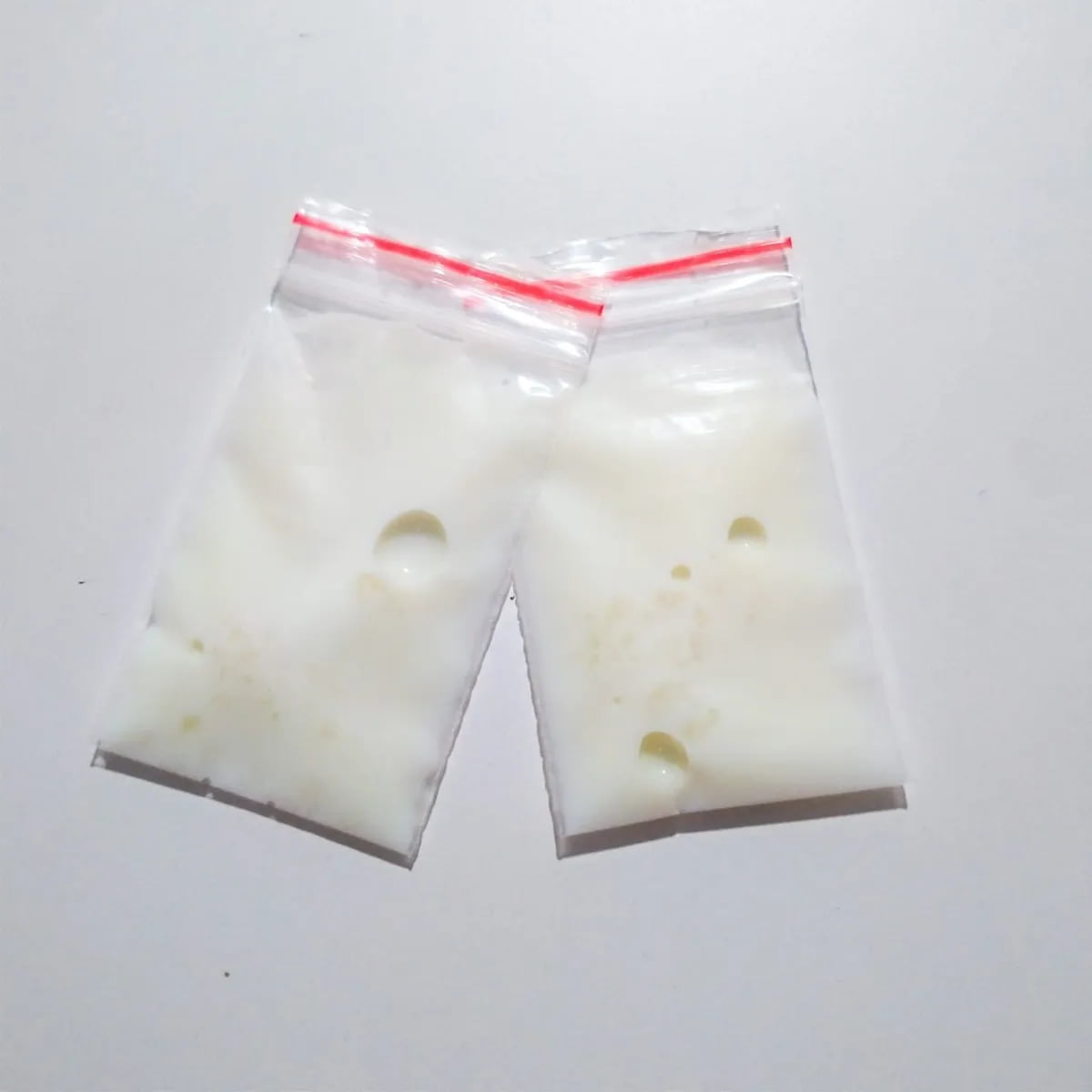 Grãos de Kefir de Leite Premium